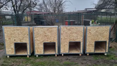 Dog shelter houses Bosch Croatia