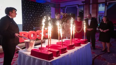 BOSCH 25 YEAR